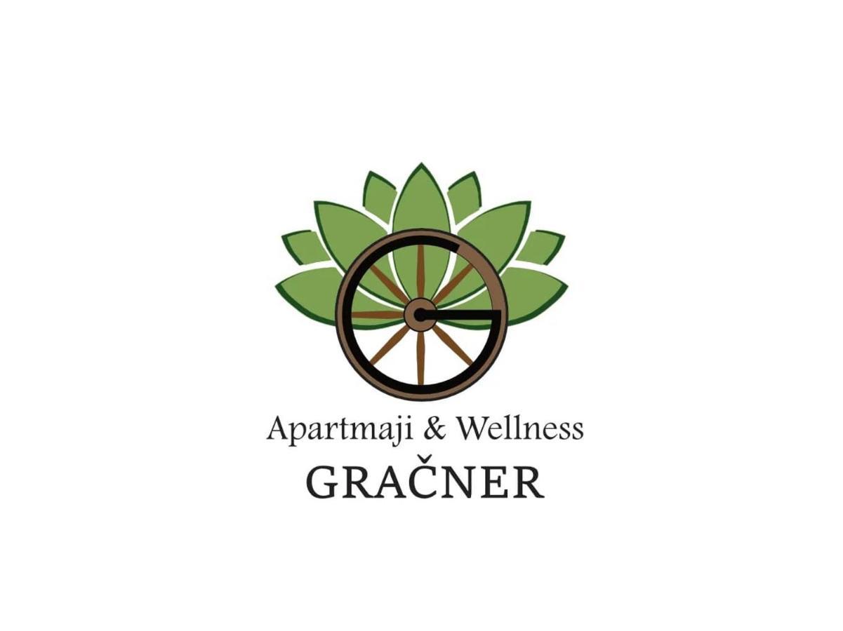 Apartmaji Gracner Dramlje Buitenkant foto