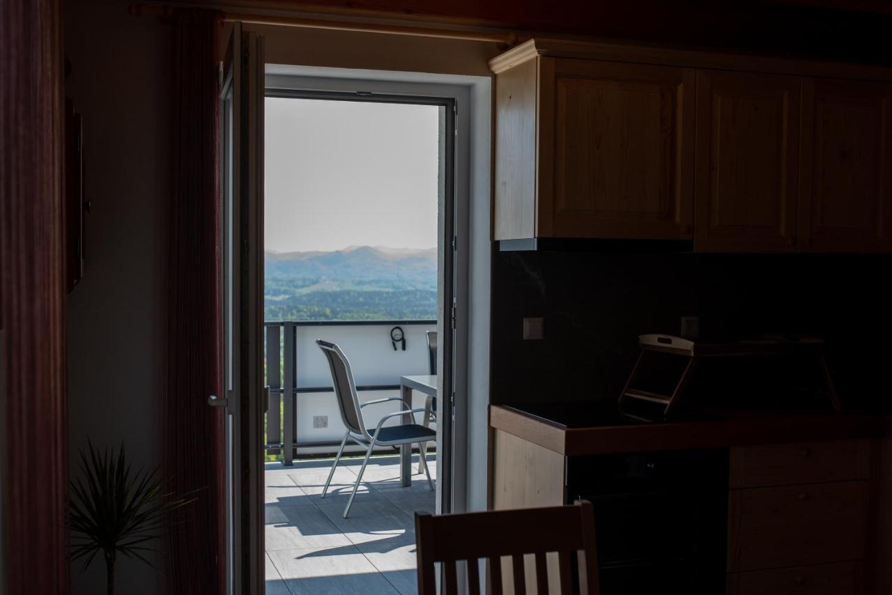 Apartmaji Gracner Dramlje Buitenkant foto