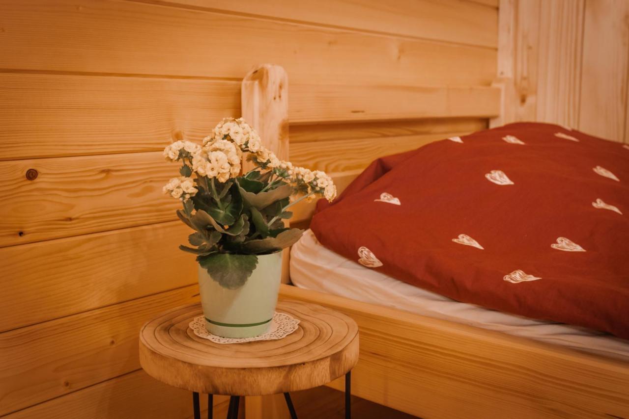 Apartmaji Gracner Dramlje Buitenkant foto