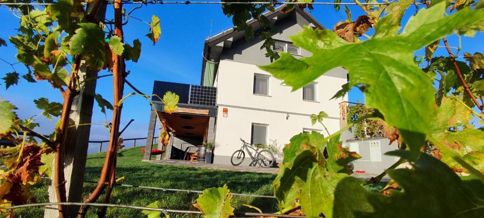 Apartmaji Gracner Dramlje Buitenkant foto